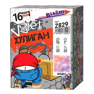 Хулиган